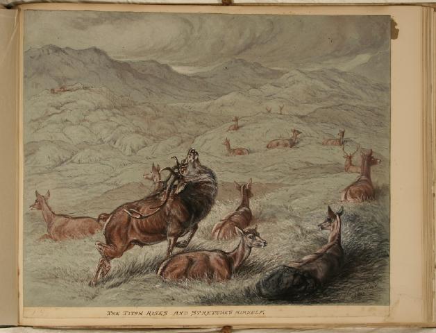 Record Image